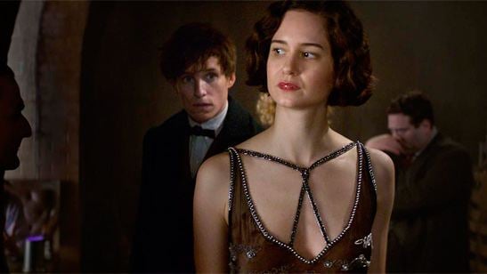 'Animales fantásticos y dónde encontrarlos': Katherine Waterston aclara que Porpentina no se parece en nada a Hermione