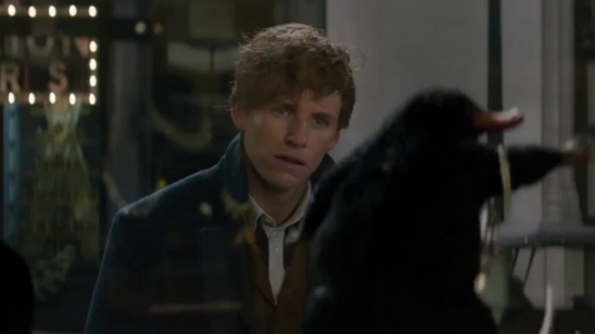 'Animales fantásticos y dónde encontrarlos': Newt Scamander irrumpe en el mundo mágico de Nueva York en el tráiler final en español noticias imagen