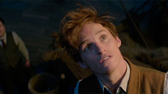 'Animales fantásticos y dónde encontrarlos': Adéntrate en un nuevo mundo mágico con el último reportaje noticias imagen