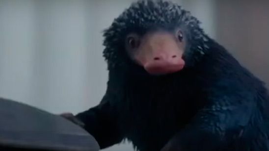 'Animales fantásticos y dónde encontrarlos': Emoción, Newt Scamander y criaturas en el último adelanto noticias imagen