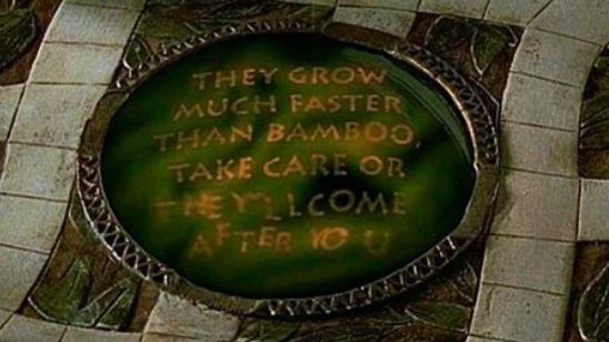 'Jumanji': Dwayne Johnson y Karen Gillan hablan sobre la nueva fecha de estreno de la película noticias imagen