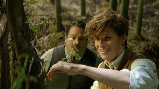 'Animales fantásticos y dónde encontrarlos' estrenará una nueva película cada dos años, según su productor noticias imagen