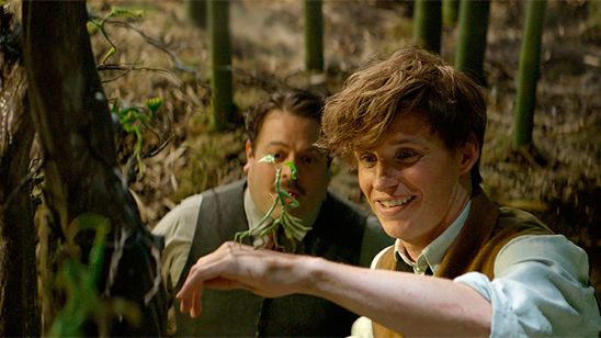'Animales fantásticos y dónde encontrarlos', "pura magia", anota un 100% en la web de críticas 'Rotten Tomatoes' noticias imagen