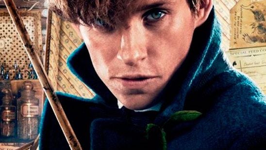 'Animales fantásticos y dónde encontrarlos': Eddie Redmayne quiere que también aprendas a querer a Hufflepuff noticias imagen
