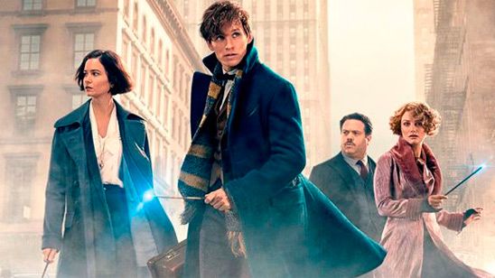 'Animales fantásticos y dónde encontrarlos': ¿Volverá este personaje para la segunda parte de la saga? noticias imagen