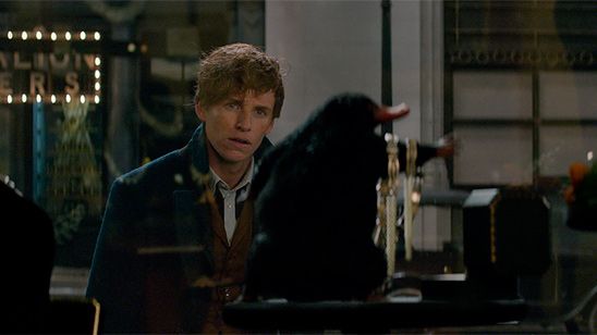 La edición limitada en Blu-ray de 'Animales fantásticos' incluirá un escarbato en Reino Unido noticias imagen