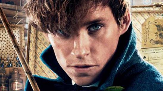 'Animales fantásticos y dónde encontrarlos': 10 magos y brujas que podrían aparecer en las secuelas noticias imagen