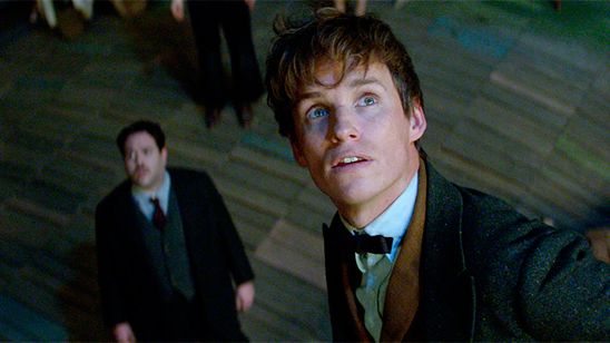 'Animales fantásticos': Un dibujante imagina cómo sería el encuentro entre Harry Potter y Newt Scamander noticias imagen