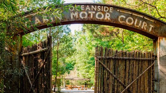 'The Walking Dead': el secreto de Tara jugará un papel importante en la séptima temporada noticias imagen