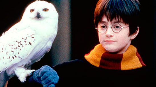 'Harry Potter': La banda sonora envía un mensaje mucho más potente de lo que pensamos noticias imagen