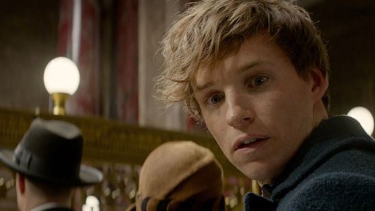 'Animales fantásticos y dónde encontrarlos': Esta es la carta que Theseus le envía a su hermano Newt Scamander