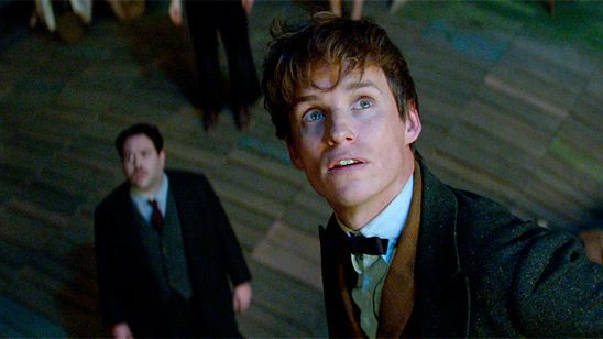'Animales fantásticos y dónde encontrarlos 2': J.K. Rowling ya ha terminado el guion de la secuela noticias imagen