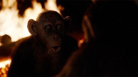 'La guerra del Planeta de los Simios': Simio Malo, protagonista del nuevo tráiler en castellano de la película noticias imagen