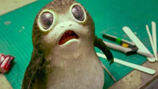 'Star Wars: Los últimos Jedi': ¿Qué son esas criaturas adorables y cuál es su papel en la película? noticias imagen