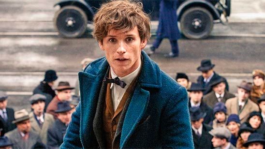 'Animales fantásticos y dónde encontrarlos 2': Estos son los nuevos personajes que se incorporarán a la secuela noticias imagen