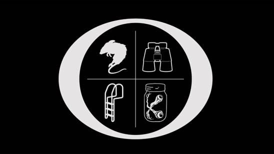 'Ozark': Esto es lo que verdaderamente significa la intro de la nueva serie original de Netflix noticias imagen