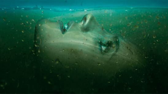 'Absentia': Primer tráiler de la nueva serie de Stana Katic tras protagonizar 'Castle' noticias imagen