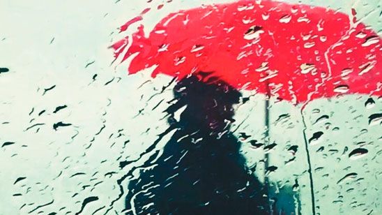 HBO España desarrollará 'Patria', una serie original sobre el conflicto vasco basada en la novela de Fernando Aramburu noticias imagen