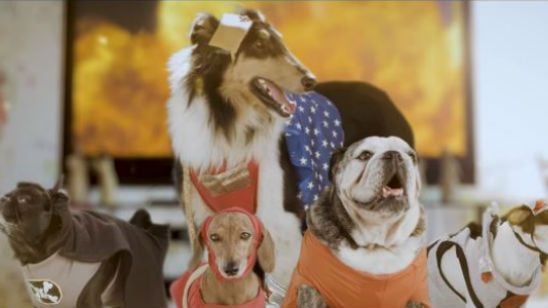 'Liga de la Justicia': no te pierdas el tráiler recreado por perros noticias imagen