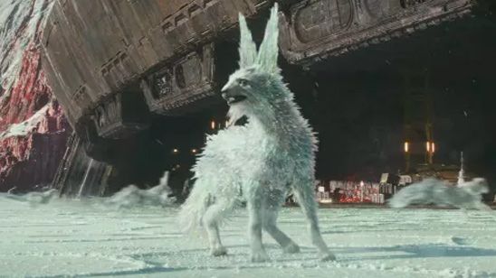 'Star Wars: Los últimos Jedi': Los "zorros de cristal" de la película ya tienen nombre pero, ¿cómo se comportan? noticias imagen