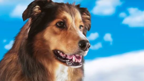 Todos coinciden en que el tráiler de 'Best Friend From Heaven' es el más raro del año noticias imagen