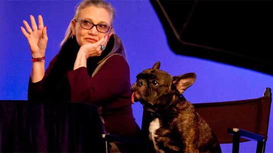 'Star Wars 8: Los últimos Jedi': Aseguran que el perro de Carrie Fisher la reconoció mientras veía la película noticias imagen