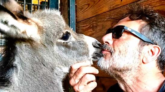 El otro lado de Jeffrey Dean Morgan: su pasión por los burros noticias imagen