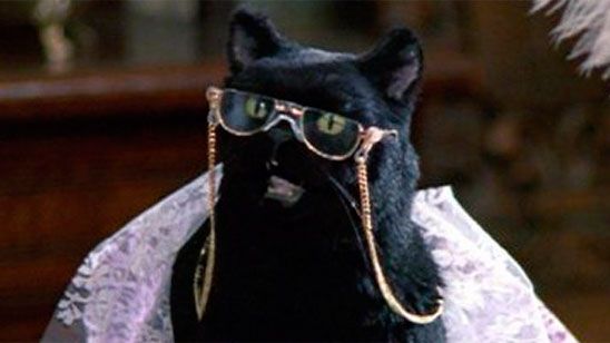 'Chilling Adventures of Sabrina': El creador de la serie presenta al nuevo Salem del 'revival' de 'Sabrina, cosas de brujas' noticias imagen