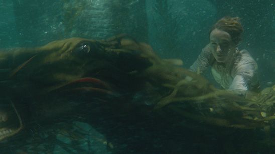 'Animales fantásticos: Los Crímenes de Grindelwald': Estas son las cuatro criaturas nuevas que aparecen en el 'teaser-tráiler' noticias imagen