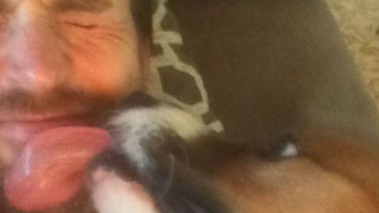 Muérete de amor con el vídeo del primer encuentro entre Chris Evans y su perro