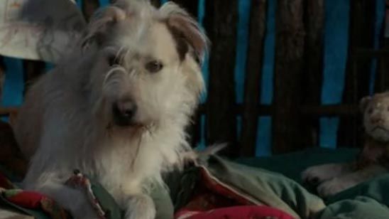 'Stranger Things': ¿Qué fue de Chester, el perro de los Byers? noticias imagen