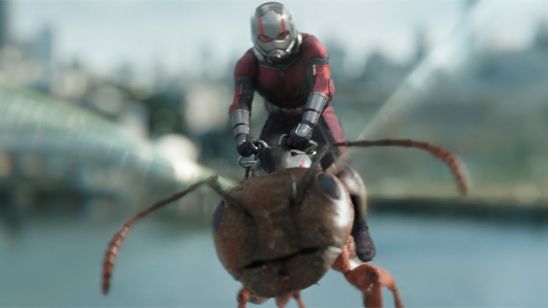 'SPOILERS' 'Ant-Man y la Avispa': ¿Cómo se llaman las nuevas hormigas voladoras de Scott? noticias imagen