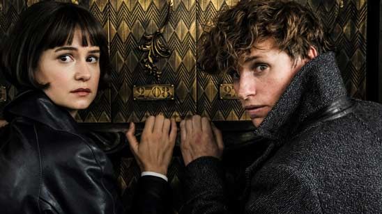 'Animales fantásticos: Los Crímenes de Grindelwald': Newt Scamander sigue pensando en Tina en la nueva imagen  noticias imagen