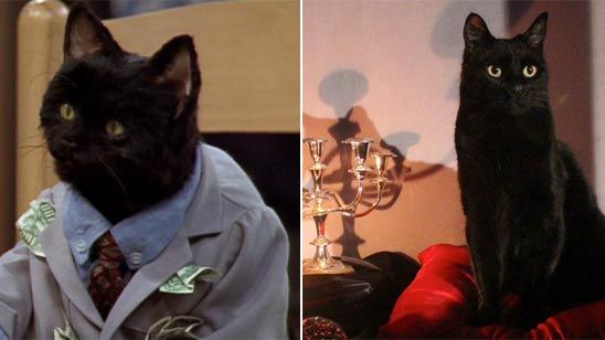 La nueva 'Sabrina' casi sustituye a Salem por un perro noticias imagen