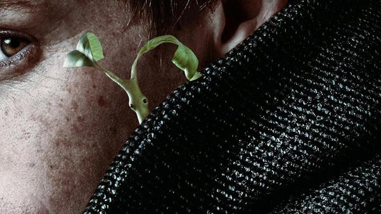 'Animales fantásticos 2': Los nuevos pósters revelan la misión de cada protagonista noticias imagen