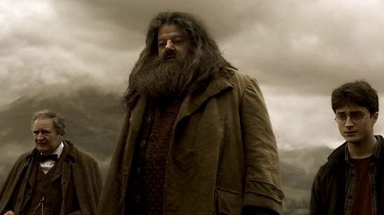 'Animales fantásticos 2': Eddie Redmayne quiere a Hagrid de vuelta en la saga noticias imagen