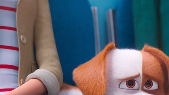 Max visita un veterinario 'de locos' en el primer tráiler de 'Mascotas 2' noticias imagen