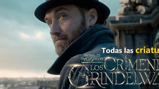 VÍDEO: Todas las criaturas de 'Animales fantásticos 2' noticias imagen