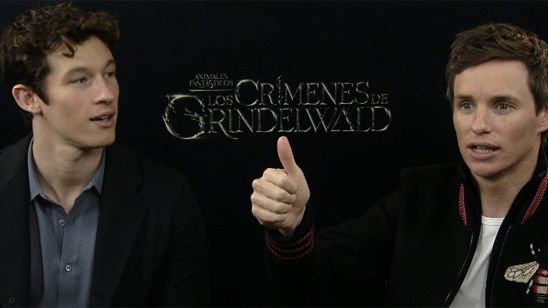 ¡EXCLUSIVA 'Animales fantásticos 2'! A Eddie Redmayne le gustaría ver España en las secuelas noticias imagen