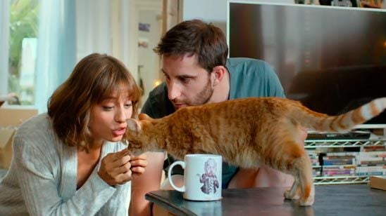 'Miamor perdido': Michelle Jenner y Dani Rovira bautizan a su gato en este clip en EXCLUSIVA  noticias imagen