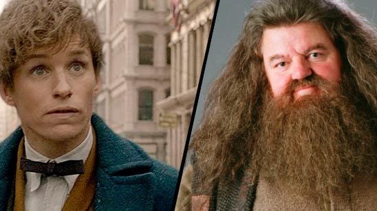 'Animales fantásticos 2': La teoría que conecta a Hagrid con Newt Scamander noticias imagen