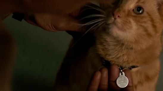 'Capitana Marvel': ¿Es el gato de Carol Danvers el culpable de que Nick Furia pierda un ojo? noticias imagen