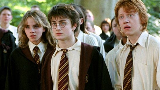 Rupert Grint solo puede ver las tres primeras películas de 'Harry Potter' noticias imagen