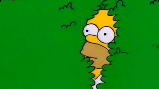 Hasta Homer Simpson usa su propio meme noticias imagen