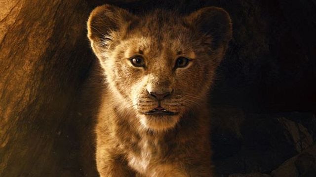 'El rey león' no es acción real y sí una película de "animación hiperrealista" según Billy Eichner (Timon) noticias imagen