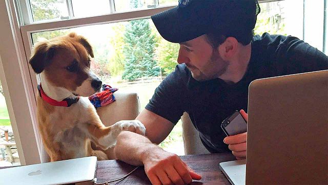 Chris Evans comparte el momento en que conoció a su perro y derrite internet noticias imagen