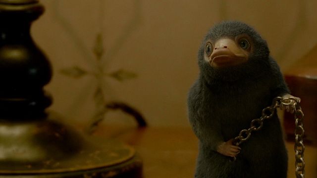 La edición extendida de 'Animales fantásticos 2' sale este viernes en plataformas digitales y tenemos EXCLUSIVA noticias imagen