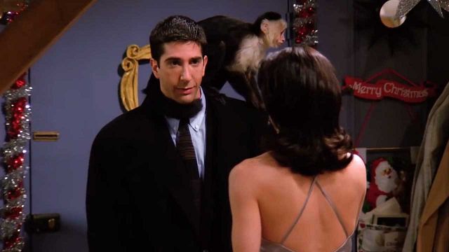 David Schwimmer no era fan de Marcel, su mono en 'Friends' noticias imagen