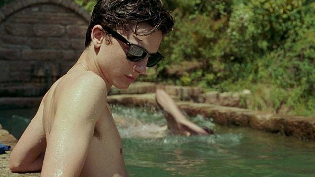 La segunda novela de 'Call Me By Your Name' será una realidad bajo el título 'Find Me'  noticias imagen