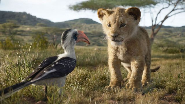 'El Rey León': Simba adulto, Timón y Pumba, lo mejor de las últimas imágenes del 'remake' de Disney noticias imagen